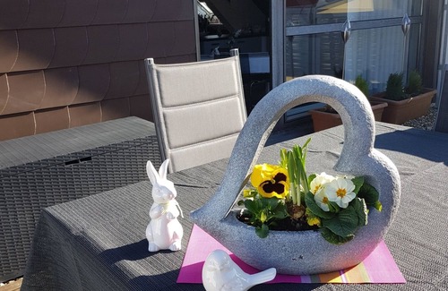 Hoheischweiler Apartamento | Precioso apartamento con gran terraza solárium - Apartment Elegance