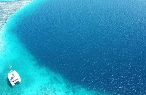 San Pedro Alquiler De Eote | Beautiful Catamaran in San Pedro on the Caribbean