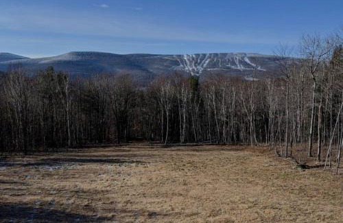 Pine Hill Casa | Beautiful Log Ski Cabin Belleayre Mtn Views