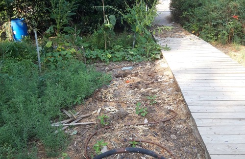 Mishmar HaShiv'a Casa | Hermoso bungalow tranquilo en el país cente