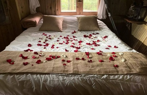 Salles-en-Toulon Casa | Beauty Park - Hulotte cabin 2 people