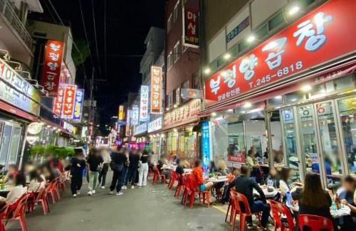 Jung-gu Casa | Beaver Stay, Bosu