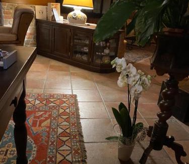 San Salvatore Monferrato Cama Y Desayuno | Bed And Breakfast Olimpia