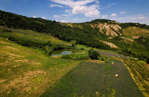 Casalfiumanese Cama Y Desayuno | Bed and Breakfast Quercia di Croara