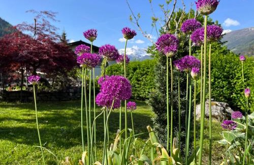 San Carlo Cama Y Desayuno | Bed and Breakfast Il Cardellino