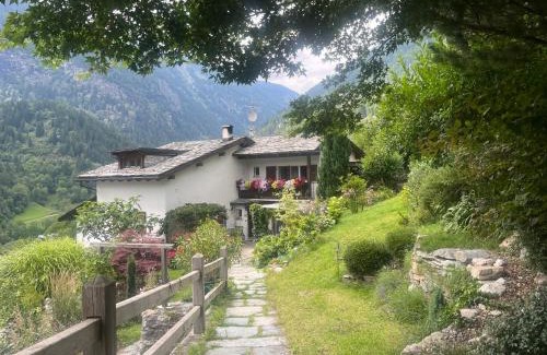 San Carlo Cama Y Desayuno | Bed and Breakfast Il Cardellino