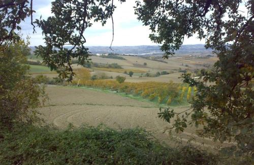 Staffolo Cama Y Desayuno | Bed and Breakfast La casa delle rondini