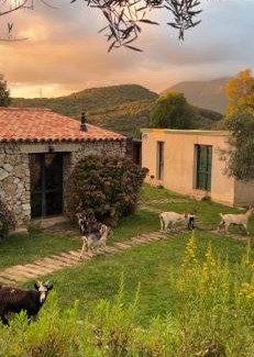 Cauro Cama Y Desayuno | Bergerie du Prunelli