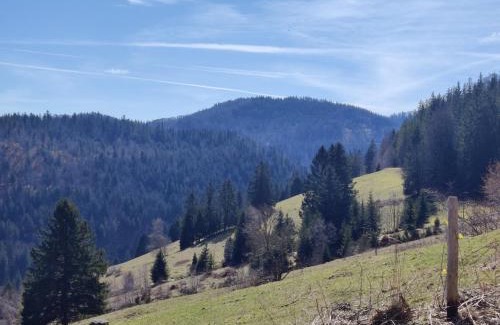 Todtnau Casa | Berggasthaus Präger Böden