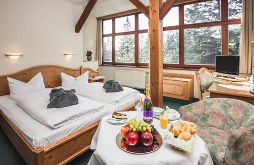 Baerenburg Hotel | Berghotel Friedrichshöhe