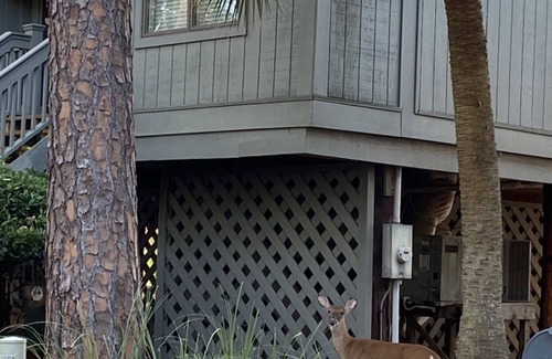 West Beach Cabaña | CAMINAR A LA PLAYA! PISCINA GRATUITA! AMENIDADES EXTRA.