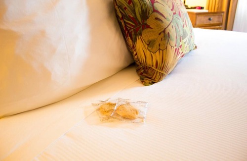 Volcano Hotel | Best Place to Unwind! Three Comfy Units, Free Parking, Close to Attractions!