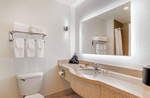 Daphne Hotel | Best Western Plus Daphne Inn & Suites