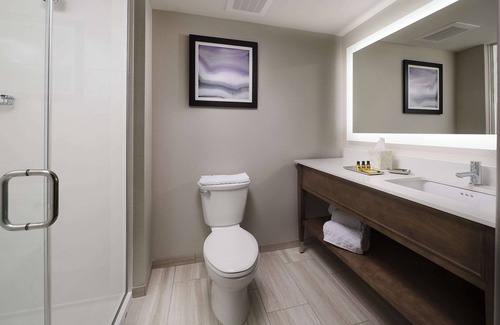 Olive Branch Hotel | Best Western Plus Desoto