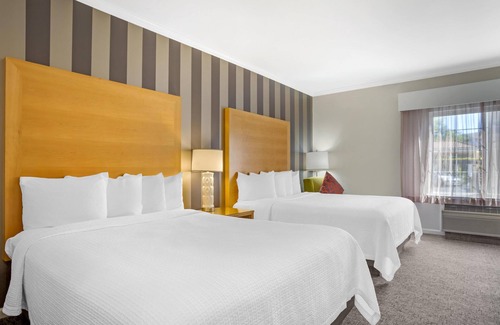 Dixon Hotel | Best Western Plus Dixon Davis