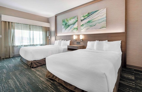 Grand Rapids Hotel | Best Western Plus Grand Rapids MN