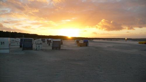 Ostseebad Prerow Hotel | Best Western Plus Ostseehotel Waldschloesschen