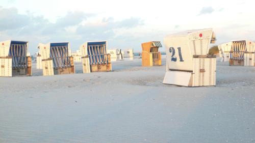 Ostseebad Prerow Hotel | Best Western Plus Ostseehotel Waldschloesschen