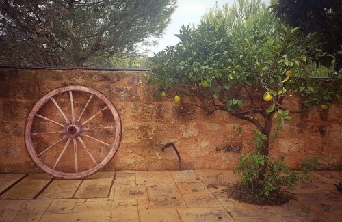 Mgarr Cabaña | Bingemma Paradise Farmhouse in the heart of Nature