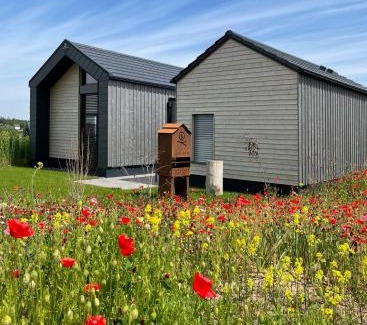Zeulenroda-Triebes Casa | Bio-Seehotel Chalets
