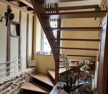 Argentre-du-Plessis Casa | Biologite