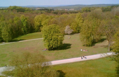 Steinheim Apartamento | bonito y espacioso apartamento ubicado cerca del bosque, se admiten mascotas y niños