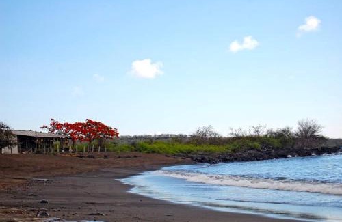 Isla Floreana Hotel | Black Beach House