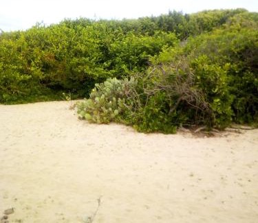 Kumpurupiddi Hotel | Black Forest Beach Resort