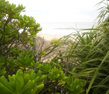 Kumpurupiddi Hotel | Black Forest Beach Resort