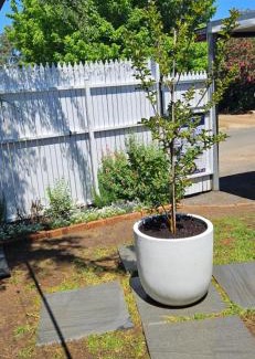 Hay Casa | Black Sheep Cottage Hay