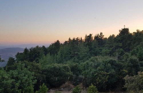 Amirim Cabina | Bloom's Studio הסטודיו של בלום