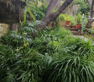 Amirim Cabina | Bloom's Studio הסטודיו של בלום