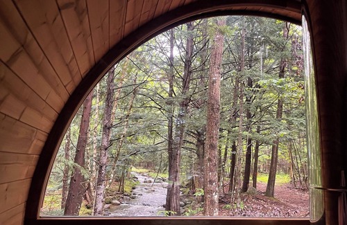 Bryant Pond Casa | Blue Yodel: Comfortable spot on 36 acres with brookside wood-burning sauna