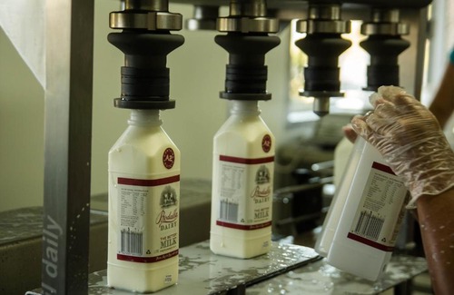 Bodalla Hotel | Bodalla Dairy Shed Guest Rooms