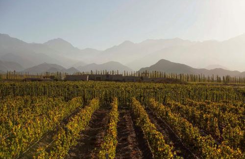 Vista Flores Cabina | Bodega Alpasión Lodge y Glamping
