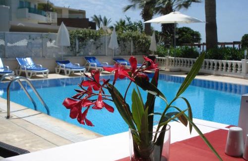 Turgutreis Hotel | Bodrum Moonlight Otel