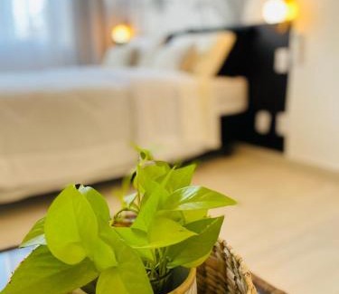 Porto Maravilha Apartamento | Boho Chic Centro do RJ Apart Inteiro