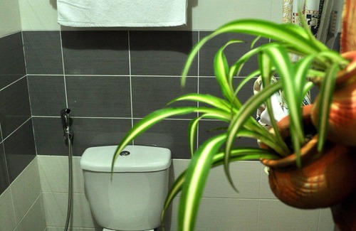 Kota Kinabatangan Cabina | Borneo Nature Lodge