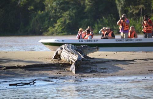 Sukau Cabina | Borneo Nature Lodge
