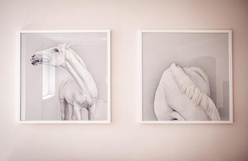 Baden Baden Old Town Apartamento | Boutique Charme Apartments