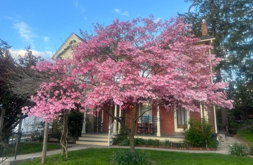 Gettysburg Cama Y Desayuno | Brickhouse Inn B&B