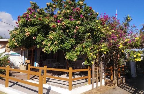 Sainte-Luce Apartamento | Brise Marine