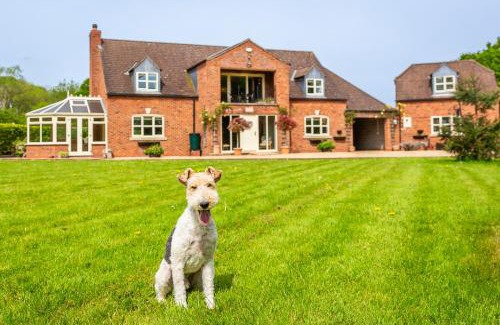 Lincoln Casa | Broadleaf Lodge