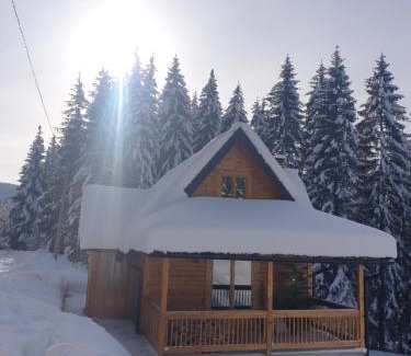 Zlatibor Chalet De Esquí | Brvnara Vukovine
