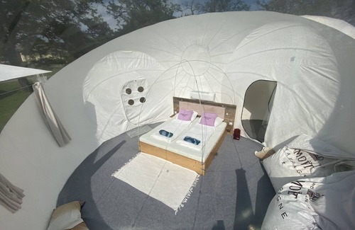 Steinbach am Attersee Cabina | Bubble Tent Hotel