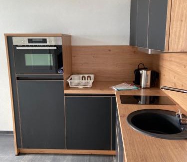 Bischofshofen Apartamento | Buchbergdomizil