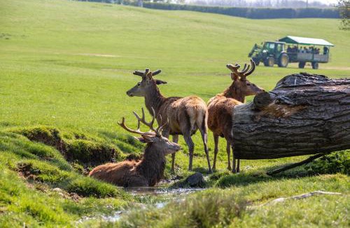 Woolhamton Otro | Bucklebury Farm