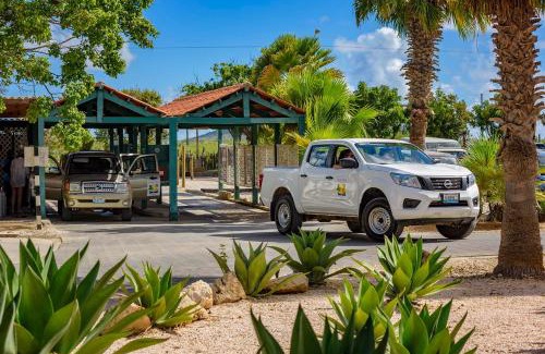 Hato Apartamento | Buddy Dive Resort