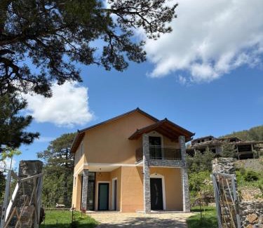 Elbasan Villa | Bujtina Halili Gjinar Two Bedrooms