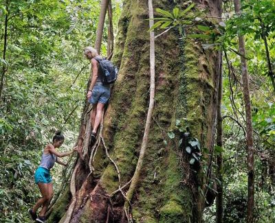 Bukit Lawang Casa | Bukitlawangtour and Accomodation